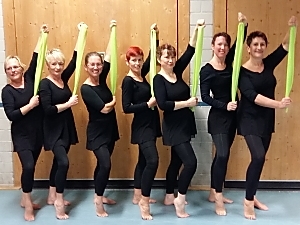 Die `Dancing Queens` von links: Ute Binder, Astrid Schmid, Claudia Weber-Bastong, Ilona Stinziani, Heidi Schenk, Melanie Hellfeuer und Birgit Matt-Fuchs.